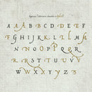 A promotional image showcasing the lowercase letters contained in the medieval inspired, Fabled Hand, fantasy font. Alternate letters are shown in a gold hue, the regular letters in a dusky blue colour