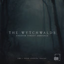 View through some bare trees in a dark and eerie forest. used as a promotional image for a ttrpg soundscape mp3