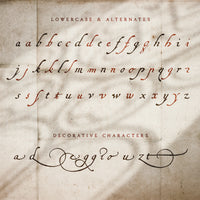 The lowercase letters of the New Regent Quill font displayed on an old ivory colour paper